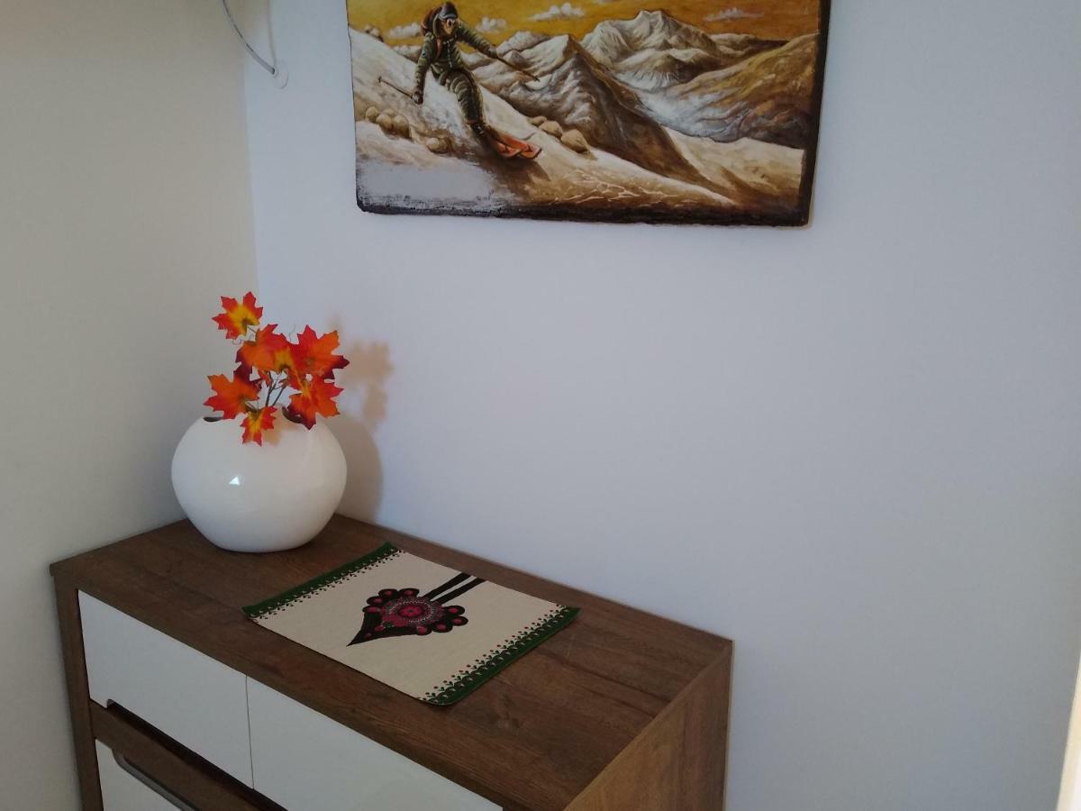 Loft Folk Apartament Закопане Экстерьер фото