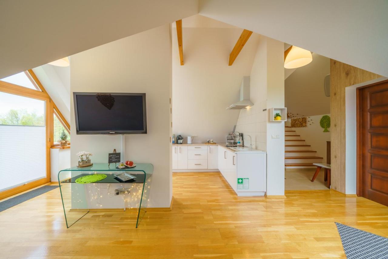 Loft Folk Apartament Закопане Экстерьер фото