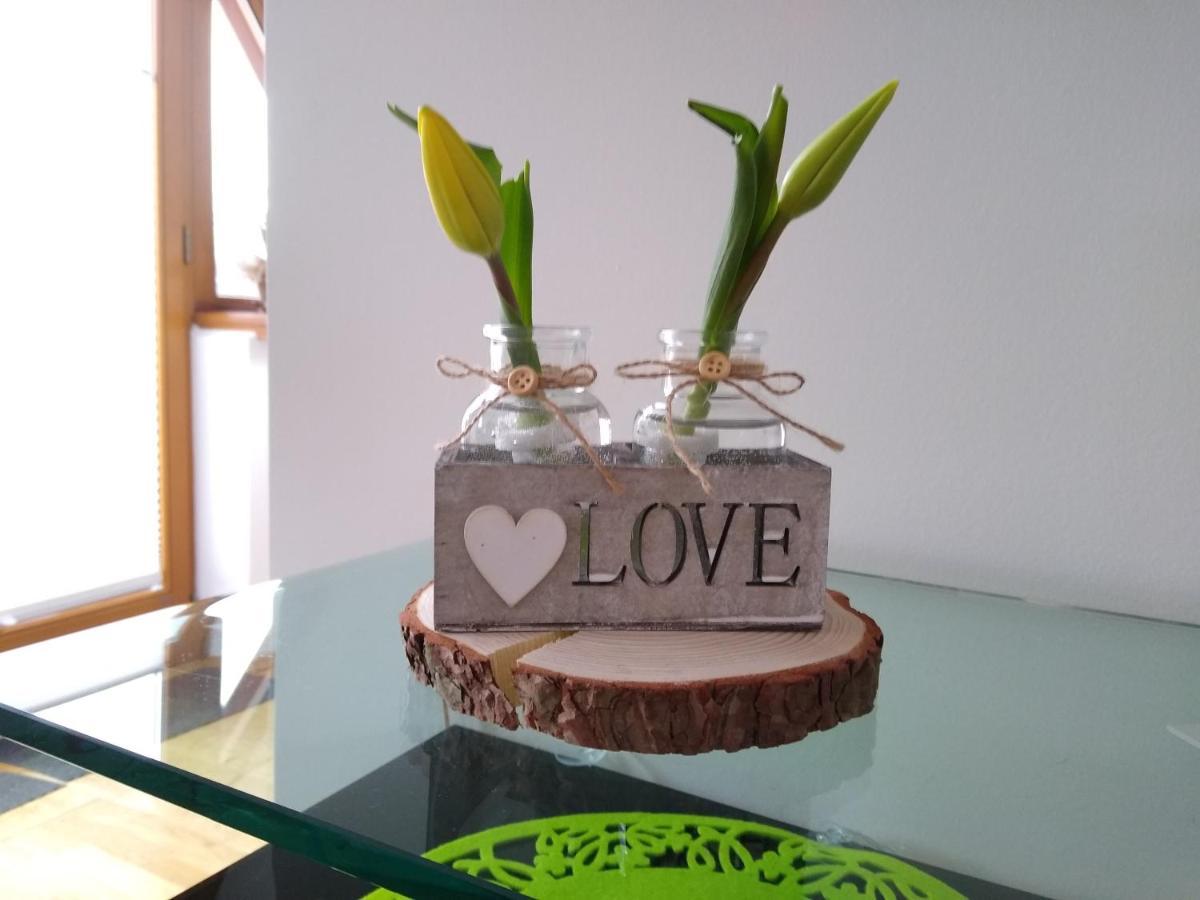 Loft Folk Apartament Закопане Экстерьер фото